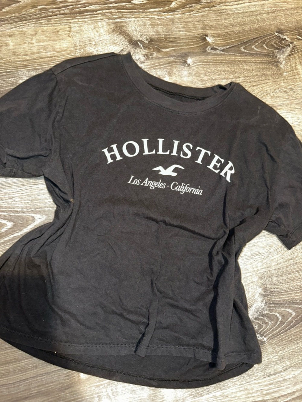 Hollister Logo Tee